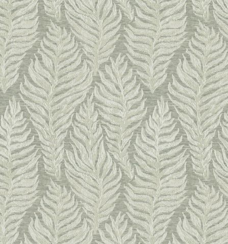 COPPICE-FOSSIL