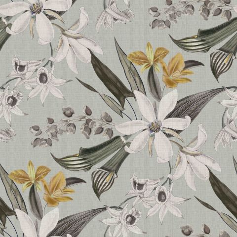 FRANGIPANI-FRENCH GREY