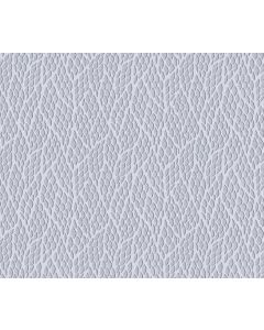 REEF-SILVER