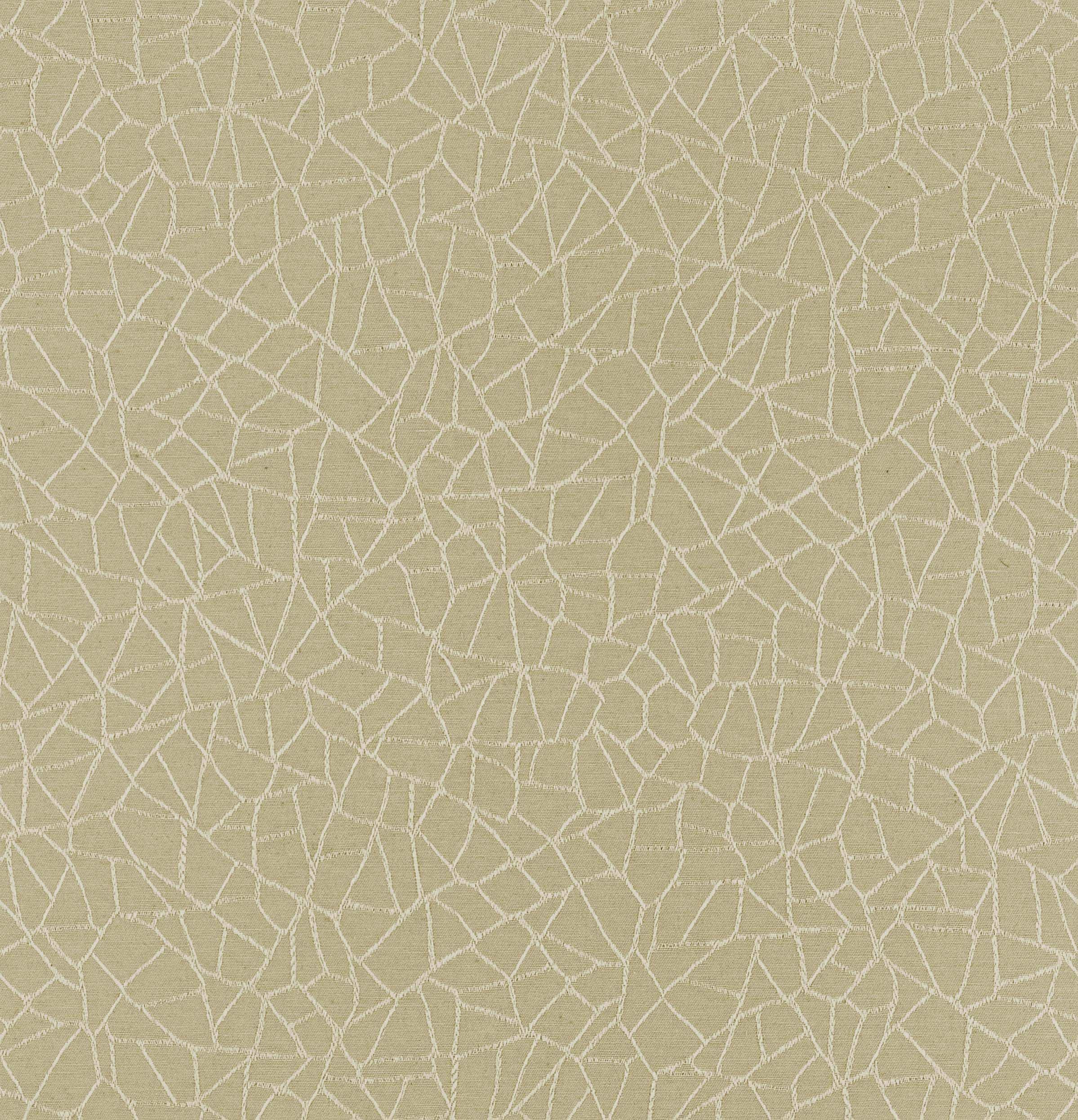 Phantom Mocassin Fabric