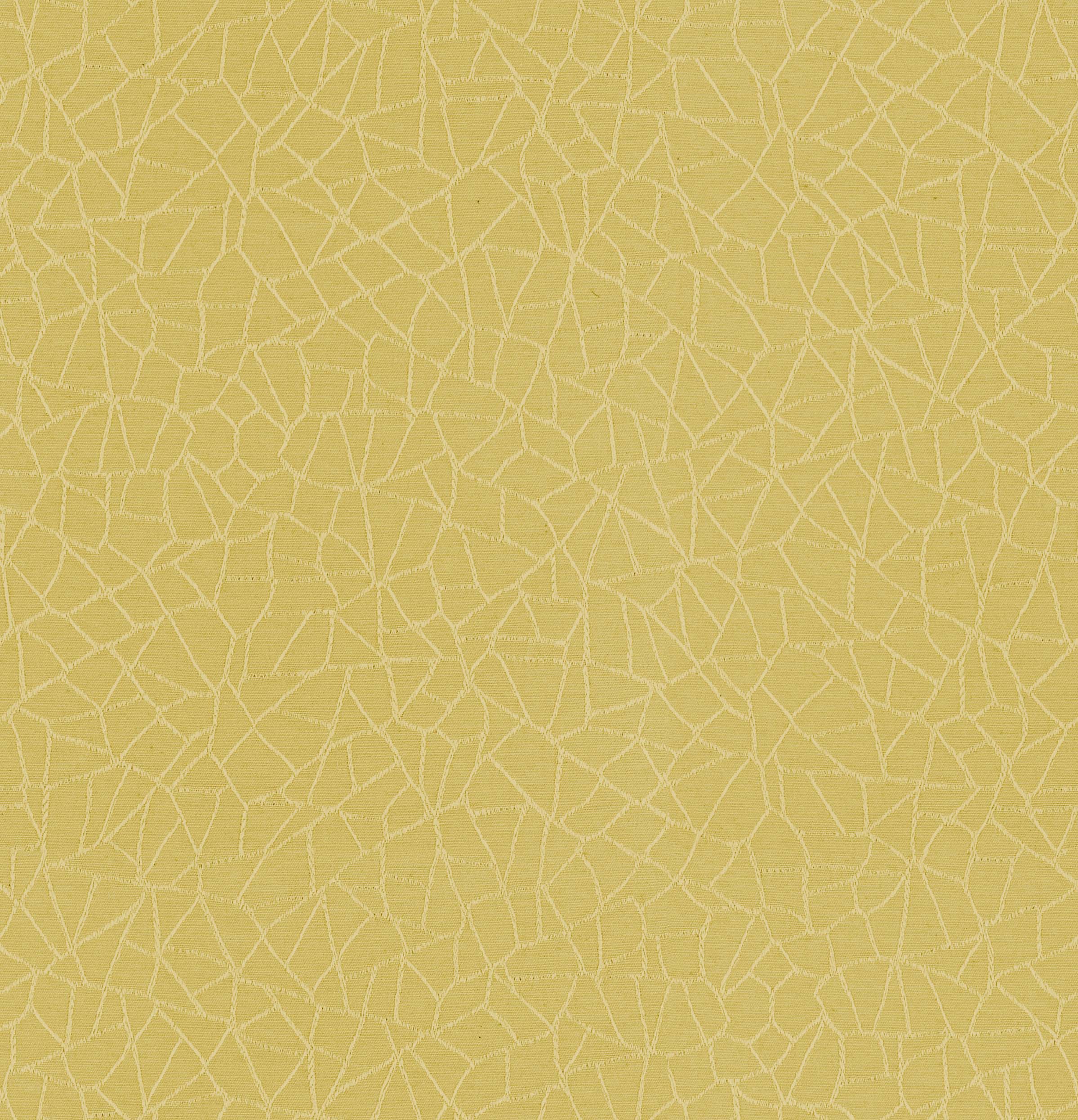 Phantom Mustard Fabric