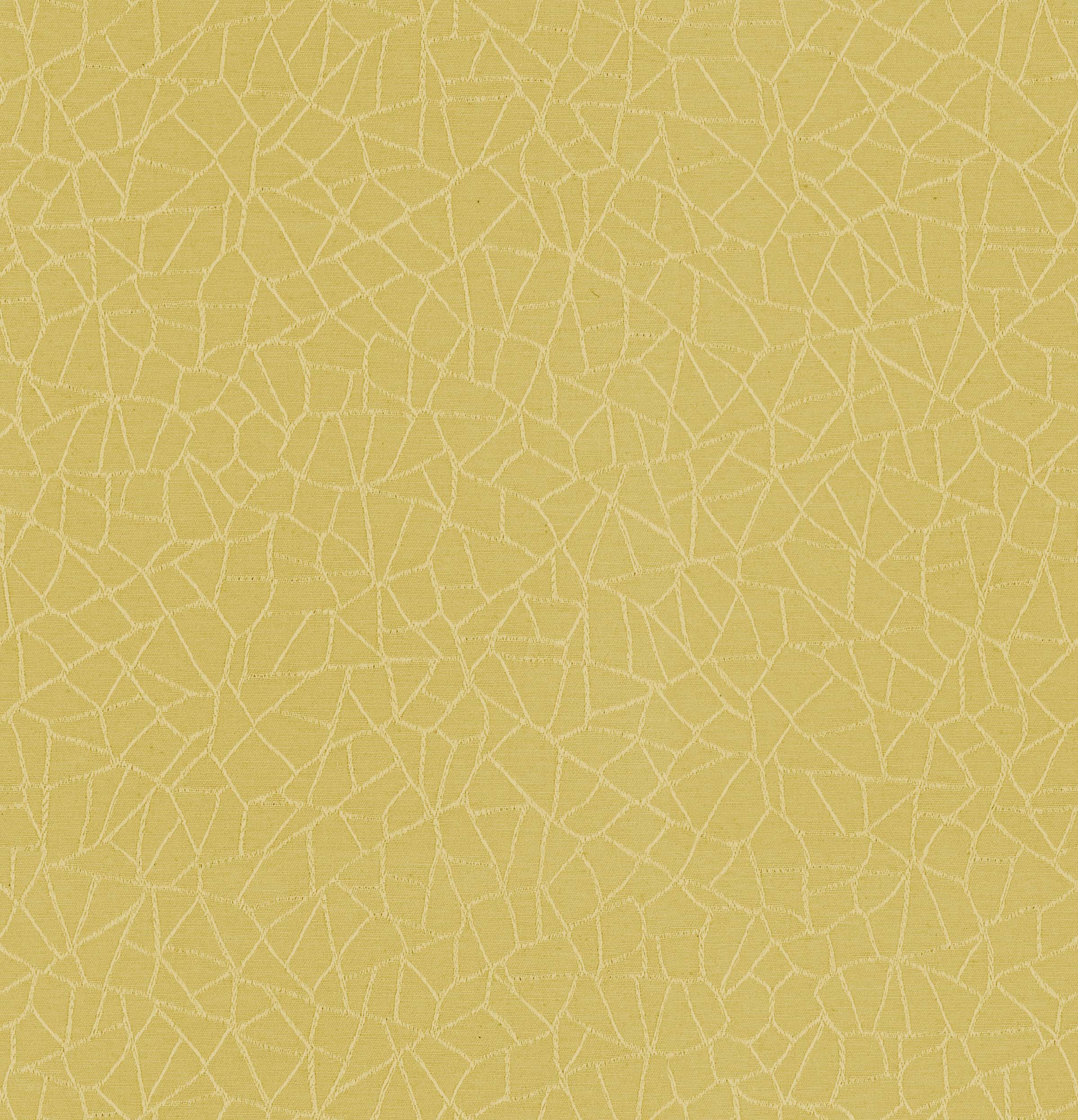 Phantom Mustard Fabric