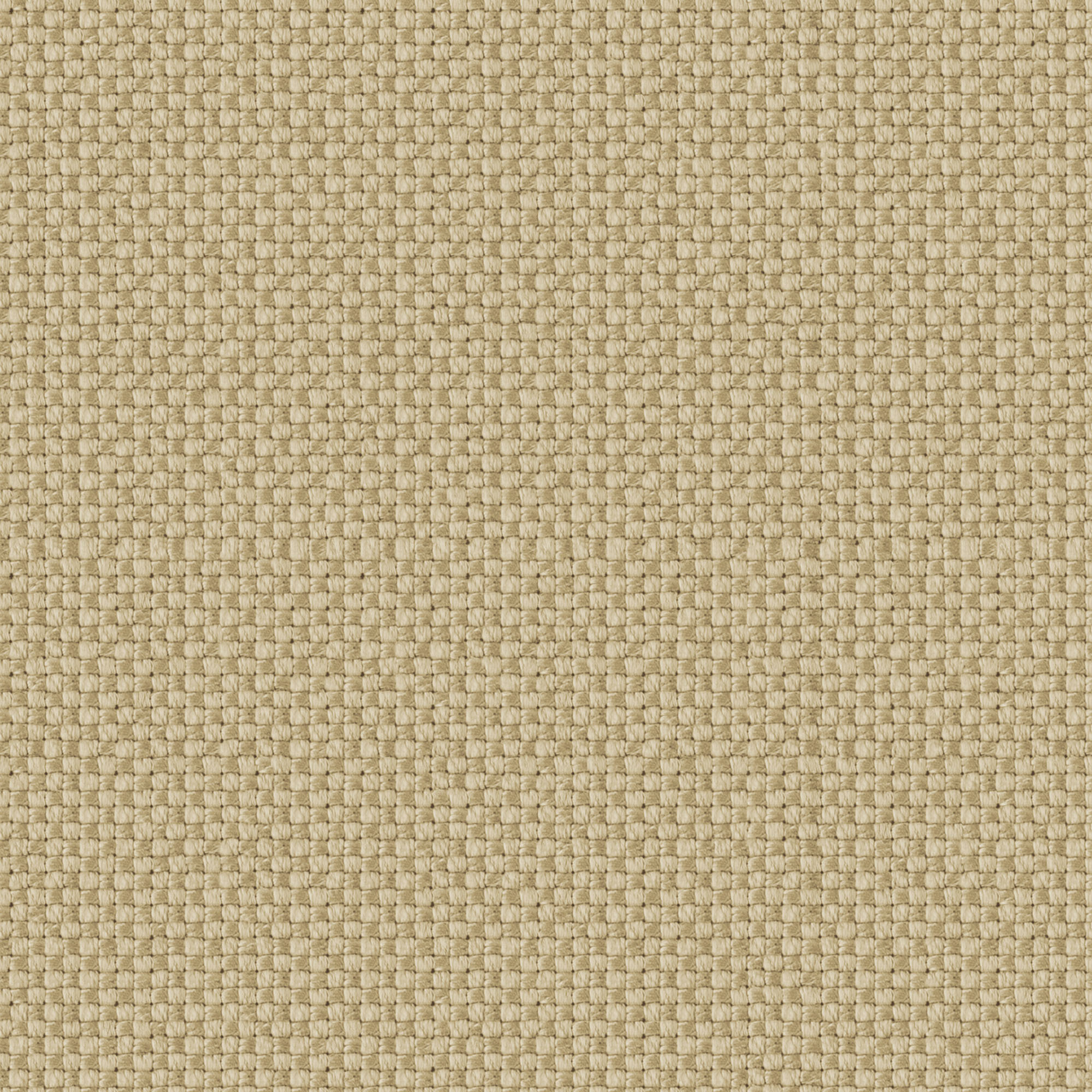 Olivia Sesame Fabric