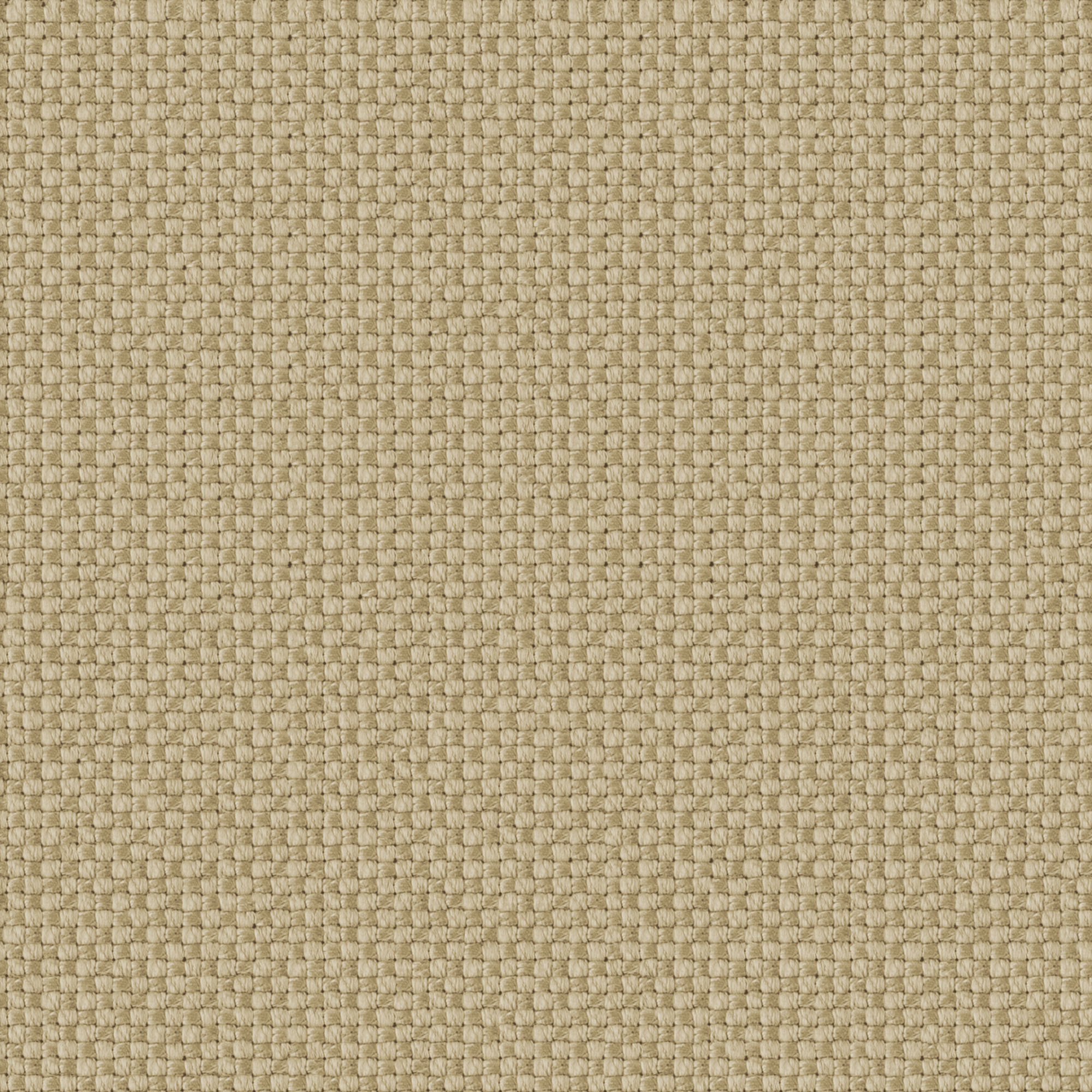 Olivia Sesame Fabric