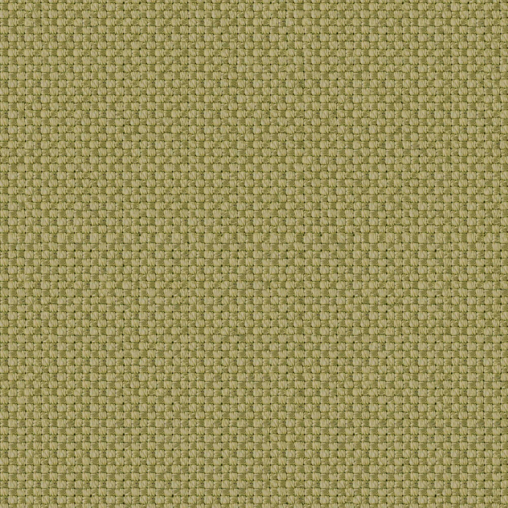 Olivia Pistachio Fabric