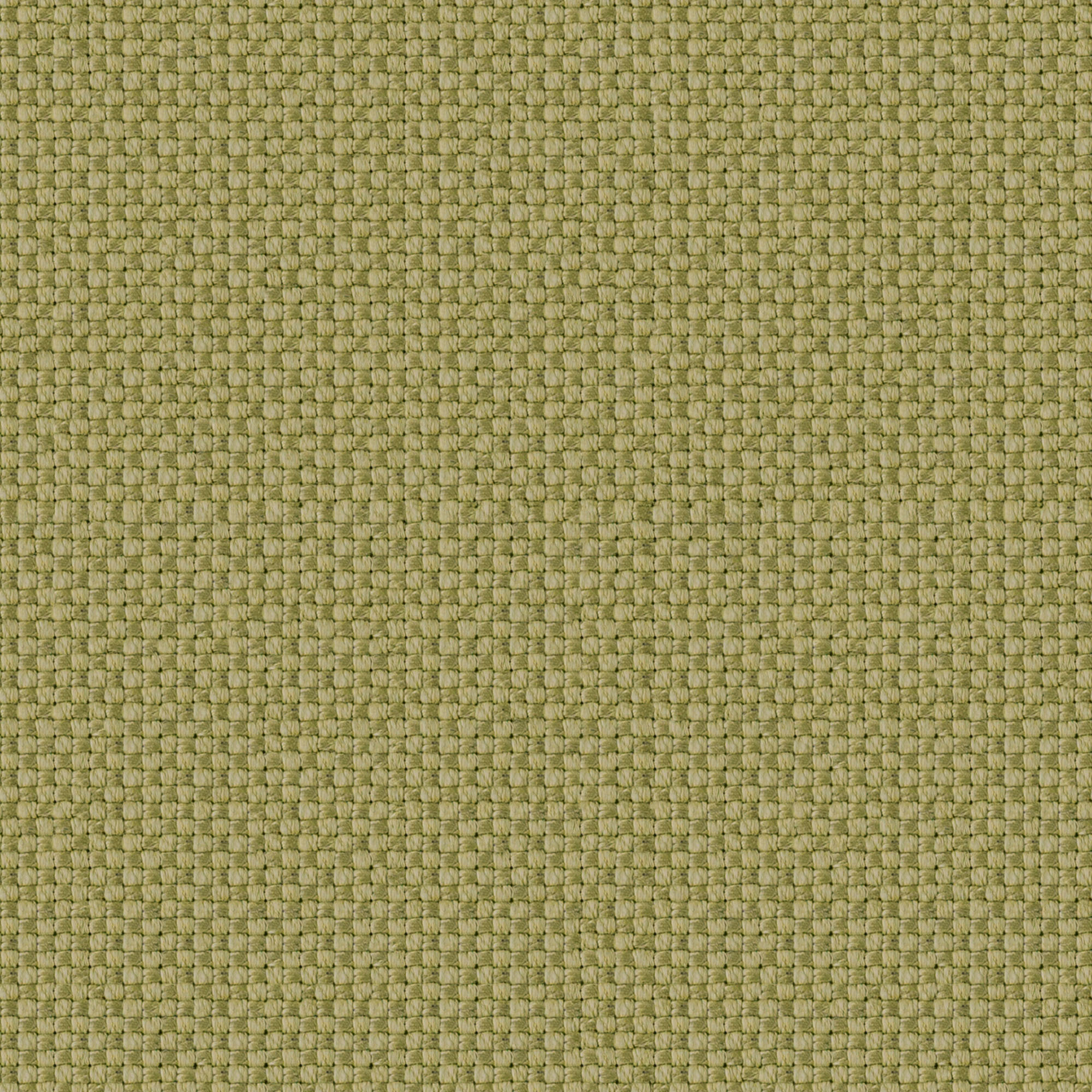 Olivia Pistachio Fabric