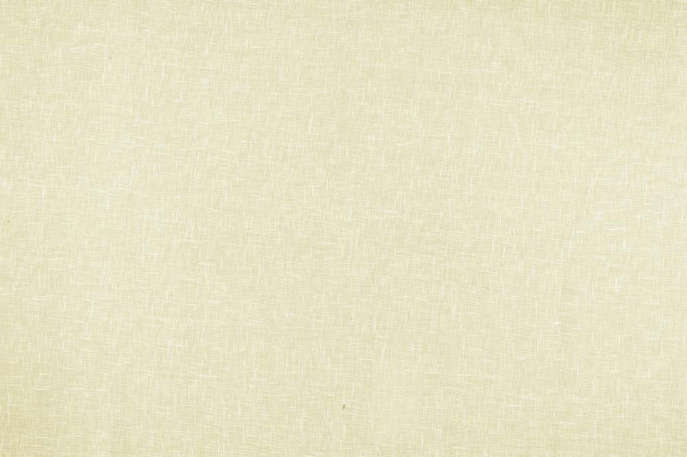 Purus Snow Fabric