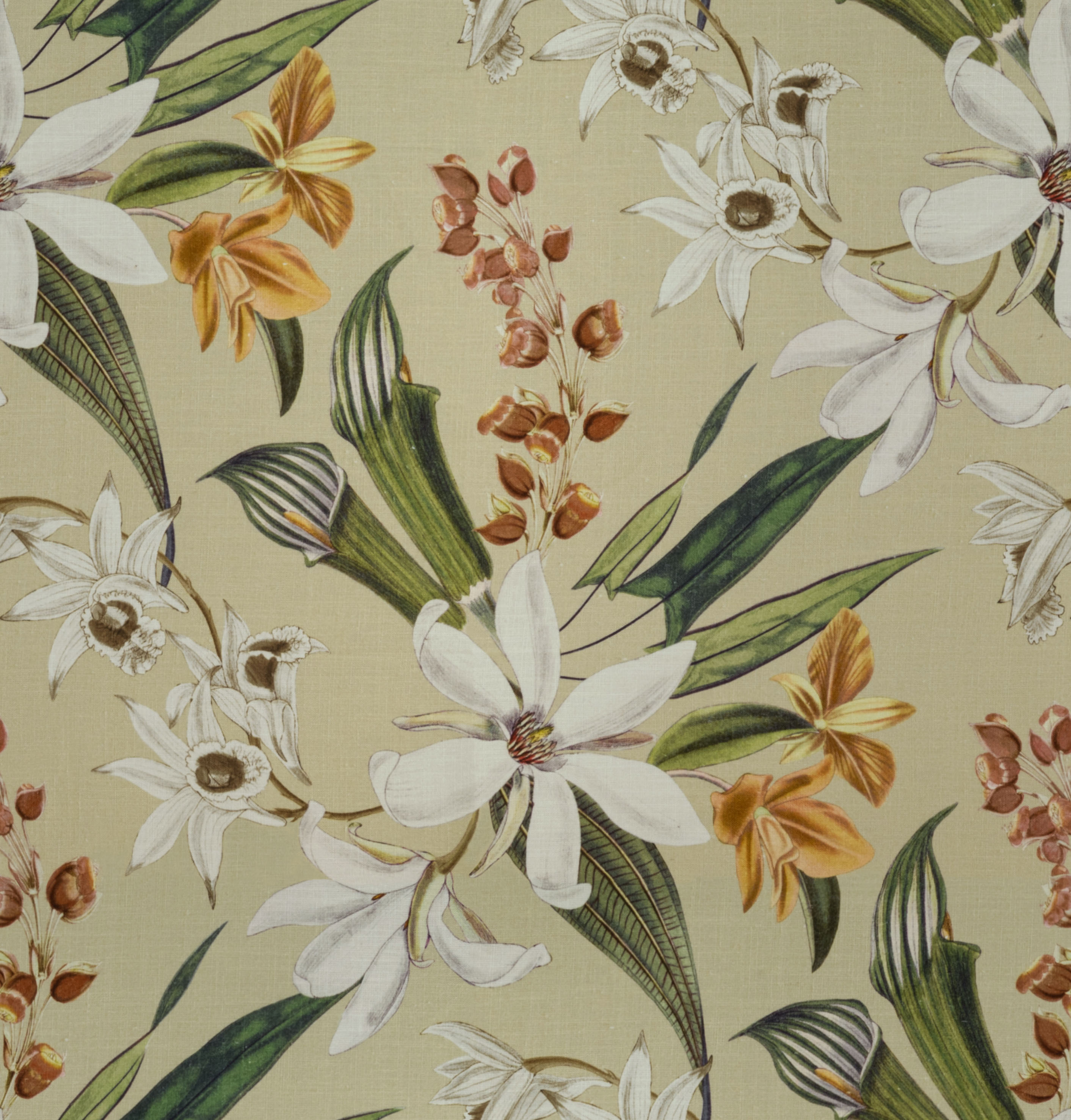 Frangipani Spring Fabric