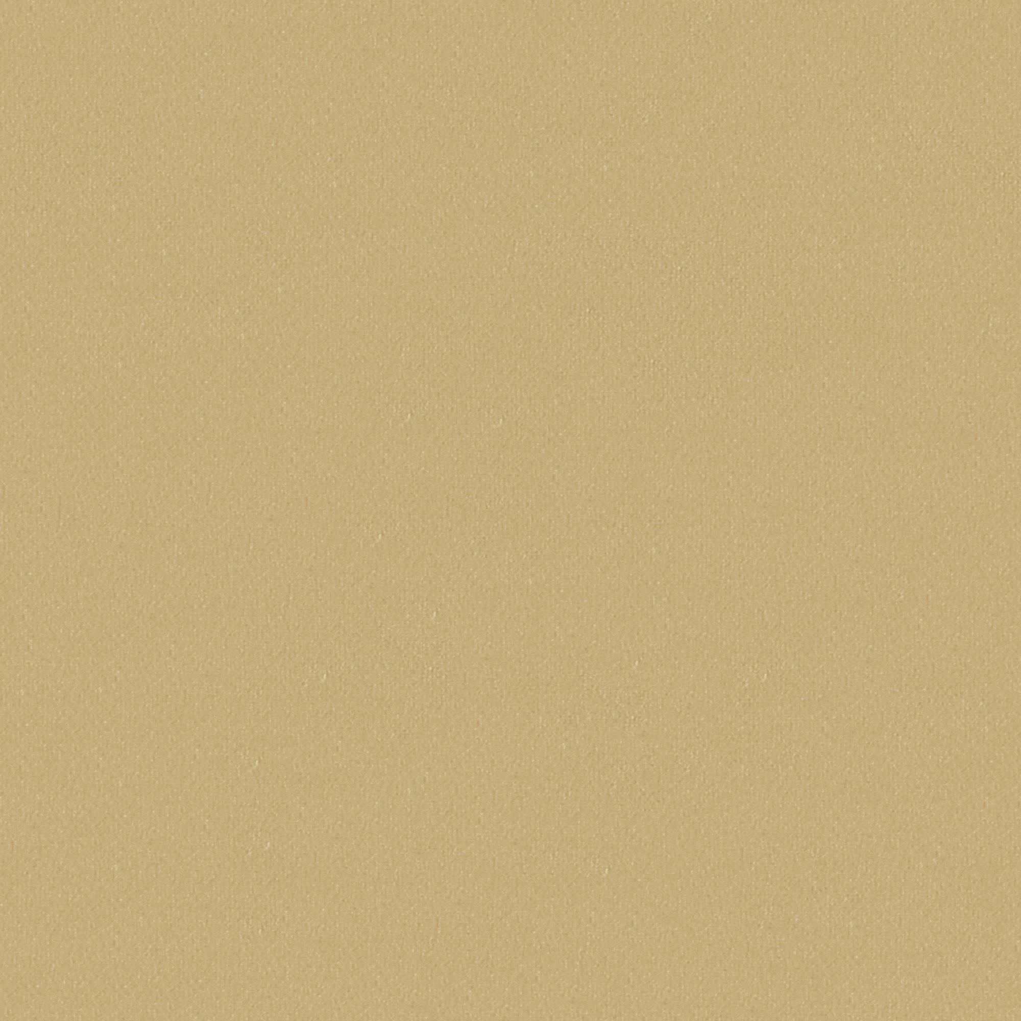 Florence Champagne Fabric